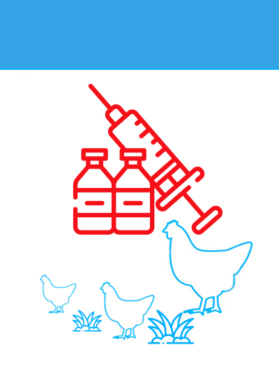 Avian influenza H9N2
