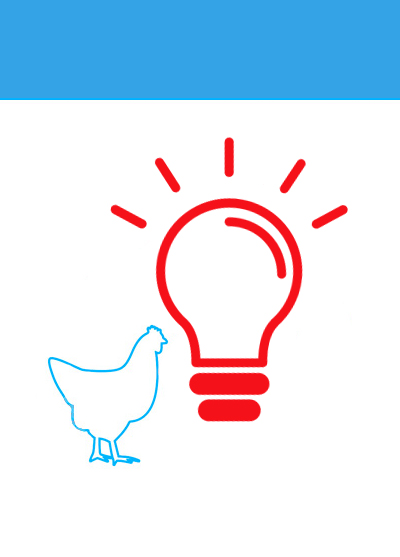 Lighting Program for Layer Hens: Enlightenment ahead