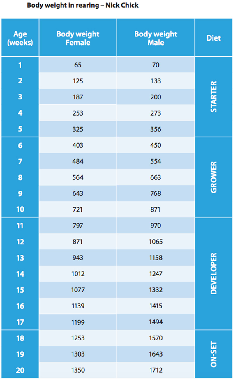 Rearing period (9 – 15 weeks) Poultry The Chickipedia H&N