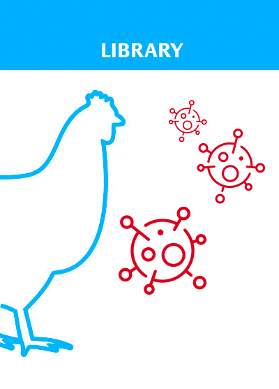 Avian Influenza (or the elusive killer that puts its expert to shame)