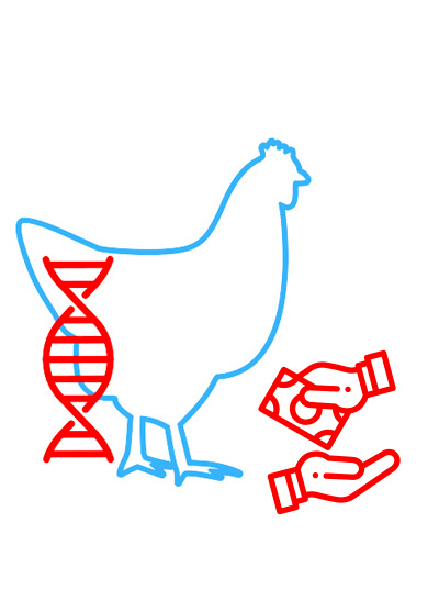 Genetic and commercial value of H&N birds