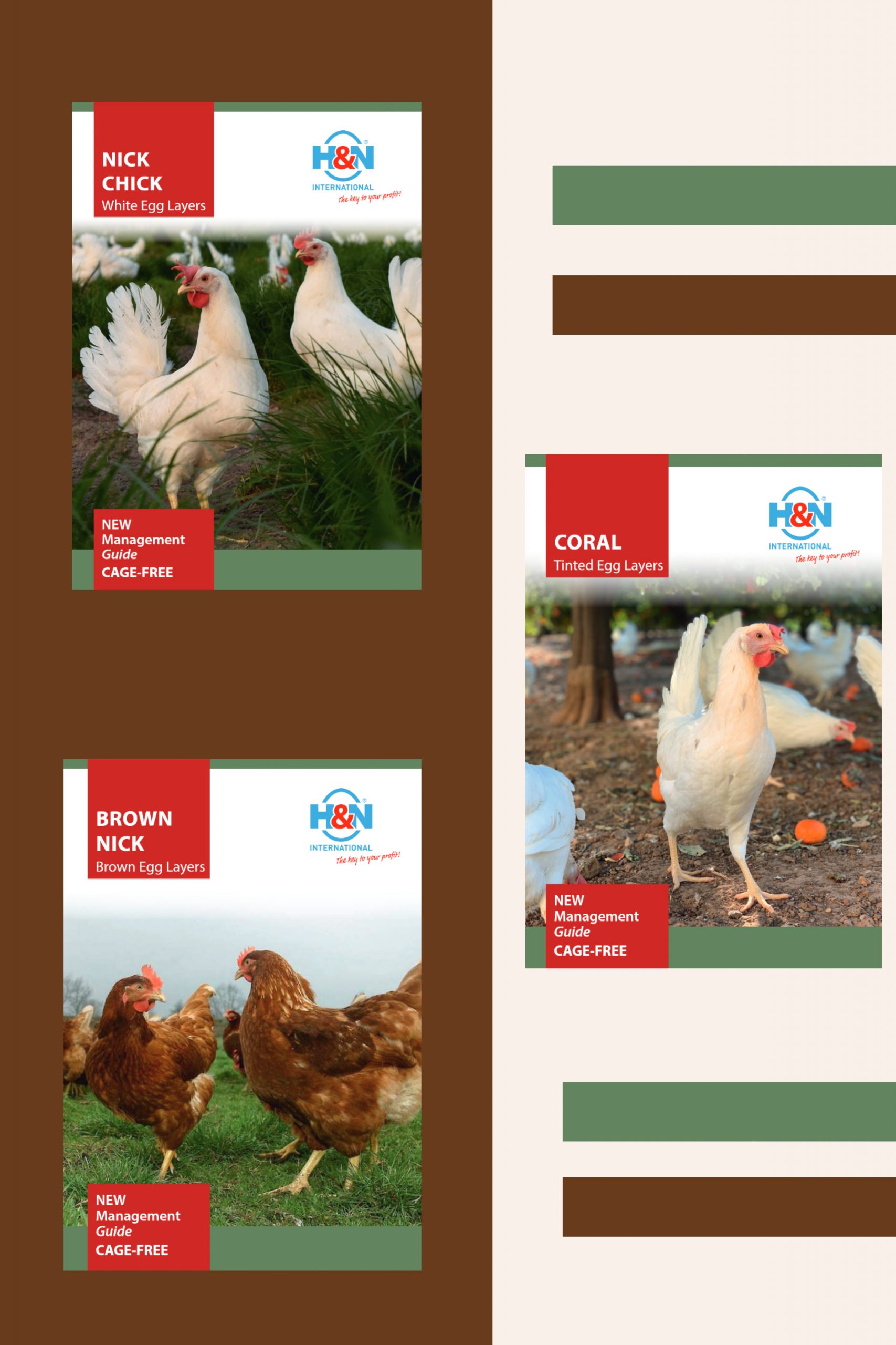 H&N International releases New Cage-Free Management Guides for each commercial layer