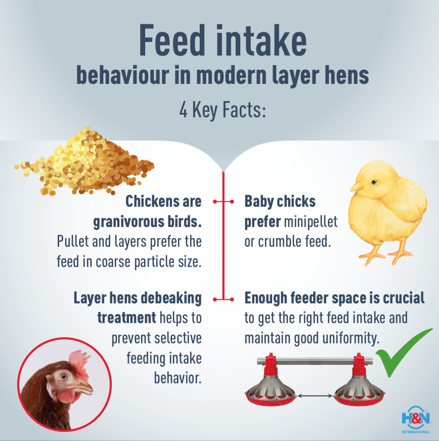 H&N International Nutricube – Poultry Nutrition