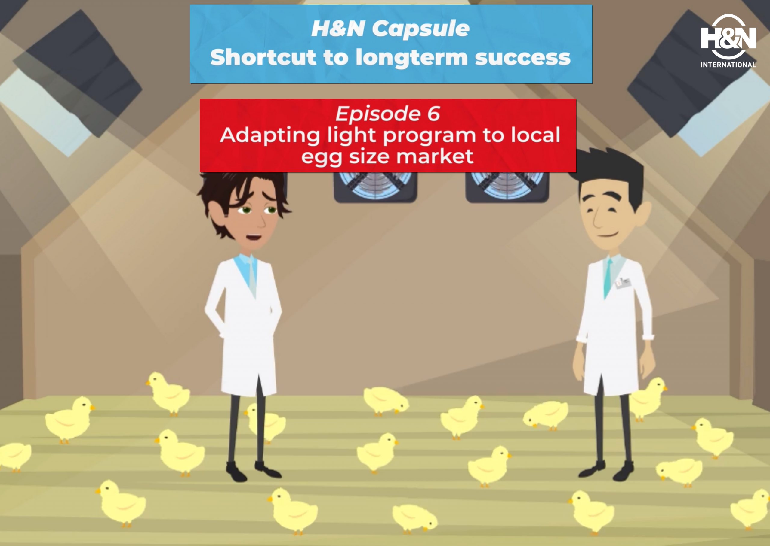 H&N Capsule Movie – Episode 6: Adapting the lighting programme to the local market’s egg size