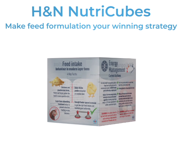 H&N NutriCubes: Informed decisions when it comes to layer feed!