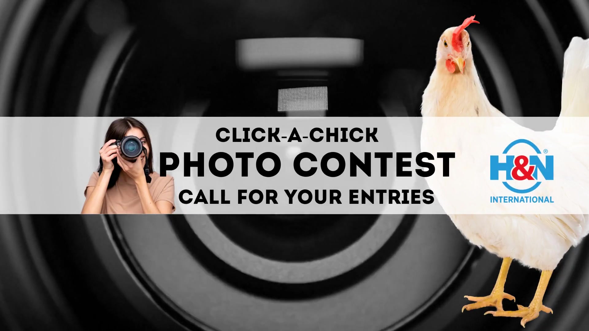 CLICK-A-CHICK – H&N INTERNATIONAL PHOTO CONTEST