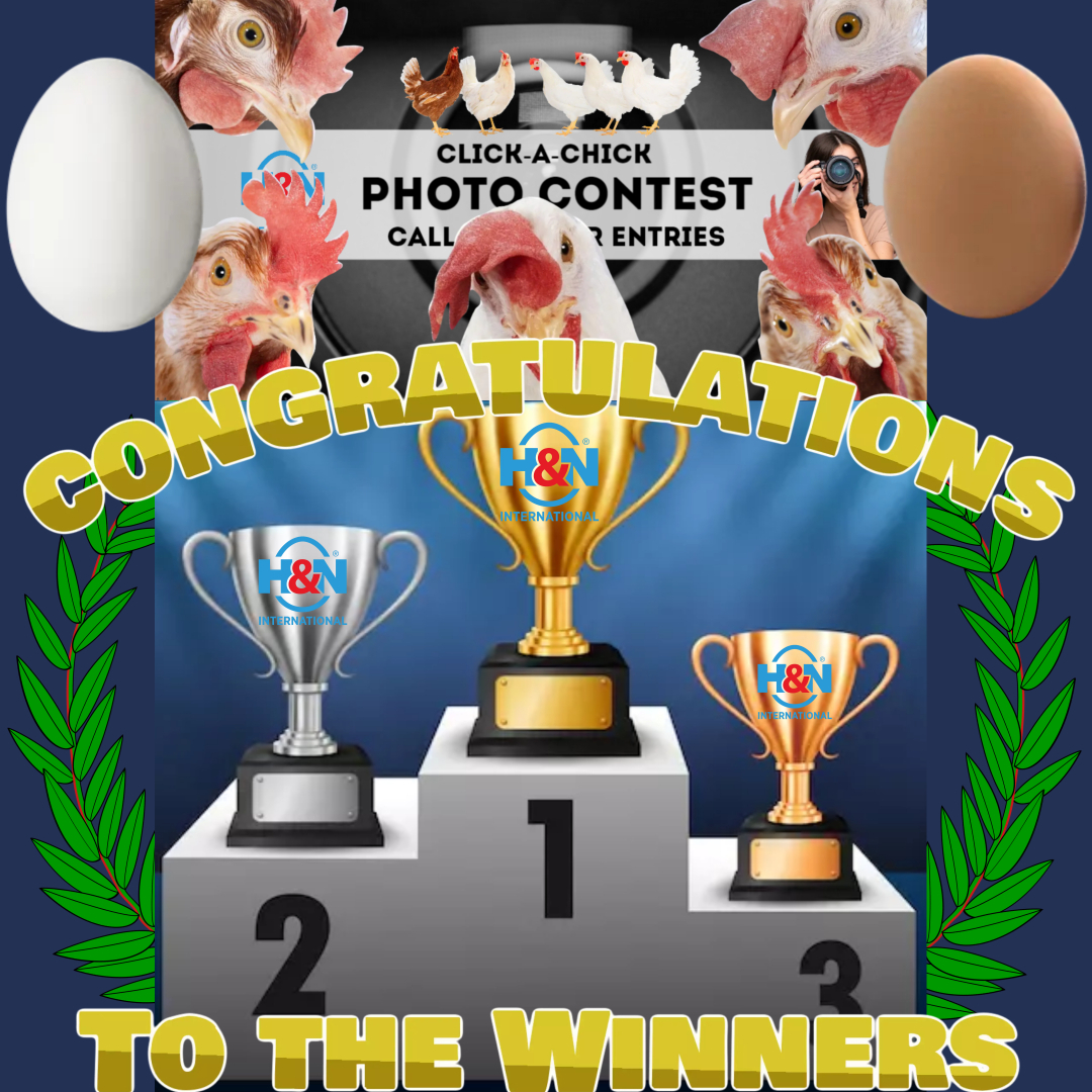 The Winners of the H&N International Photo Contest “Click-a-Chick”