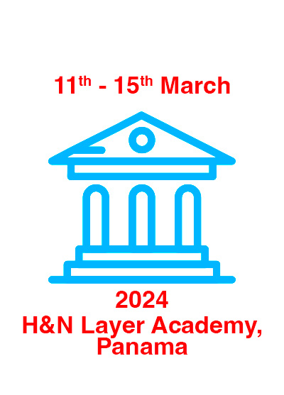 H&N Layer Academy LATAM 2024