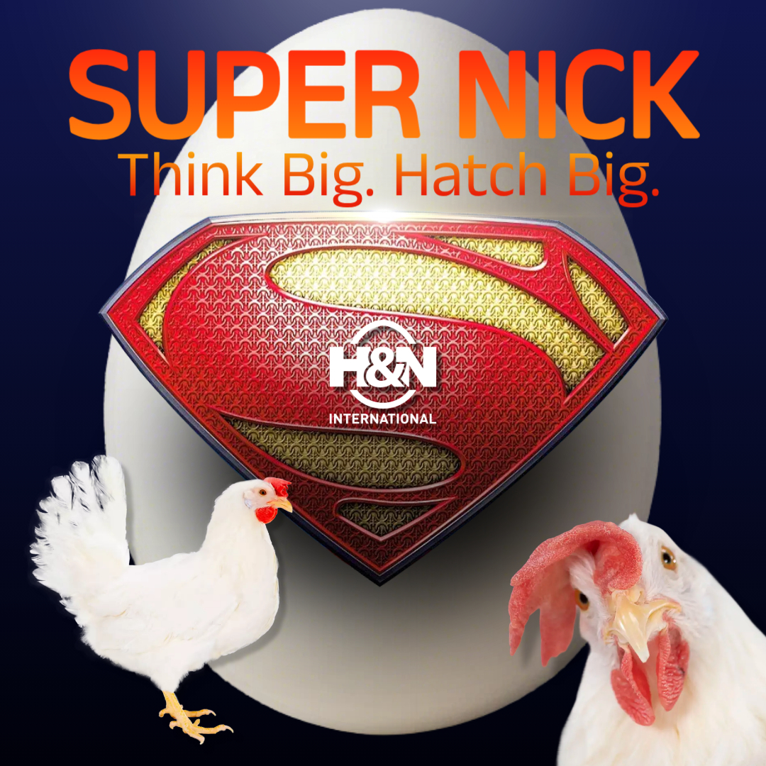 Super Nick – Think Big. Hatch Big. – Monthly quiz